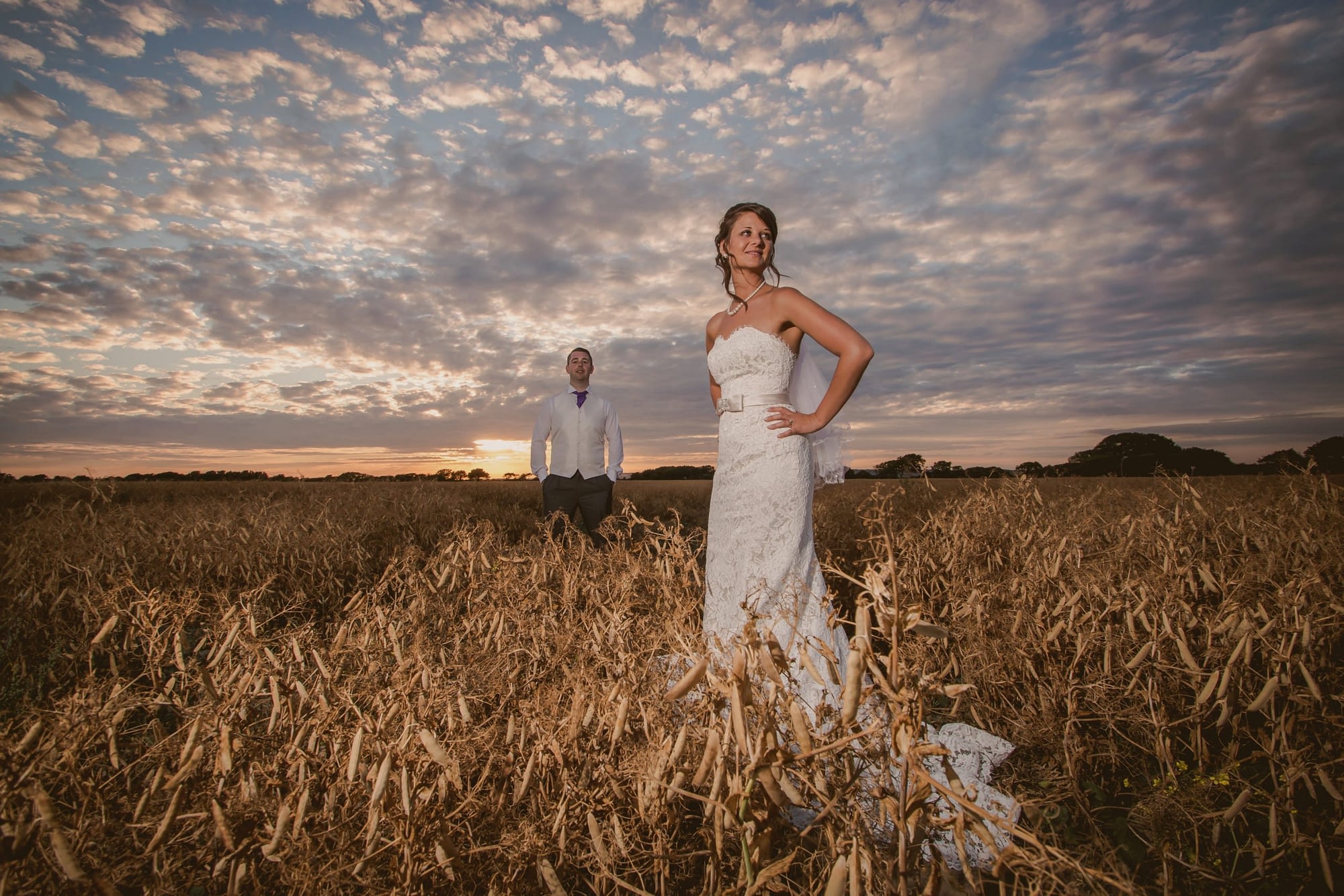 couple standing in a cornfield at sunset